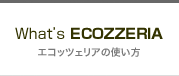 what'sEcozzeria