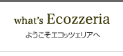 what'sEcozzeria