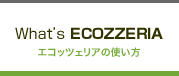 what'sEcozzeria