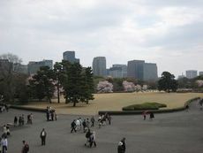 edo-jo-view-from-tenshu-dai.jpg