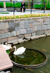seibutsu_16.jpg
