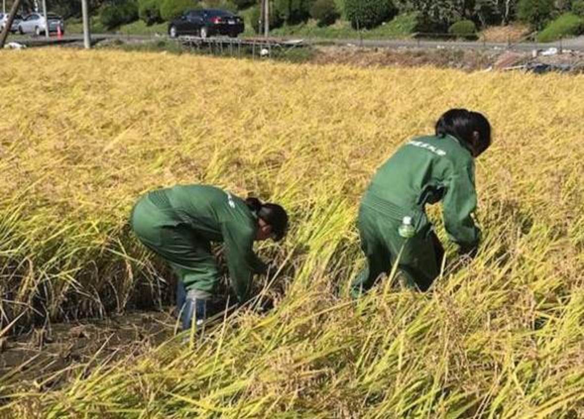 特別イベント 福島県浪江町における農業 新興 に向けた取り組み 担い手育成に向けて 特別イベント イベント Ecozzeria 大手町 丸の内 有楽町 サステイナブルポータル 特別イベント 福島県浪江町における農業 新興 に向けた取り組み 担い手育成に向けて 特別イベント イベント Ecozzeria 大手町 丸の内 有楽町 サステイナブルポータル