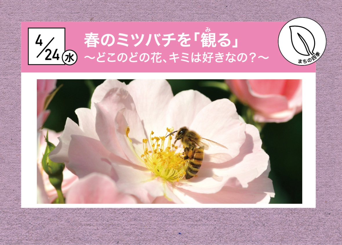 ネイルシール★ F693 ミツバチ　お花　フラワー　秋冬　蜂　植物　ボタニカル ネイルシール☆ F693 ミツバチ お花 フラワー 秋冬 蜂 植物